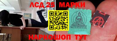 индика Будённовск