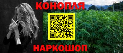 apvp Камышлов