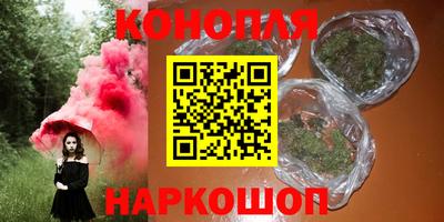 apvp Камышлов
