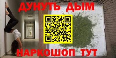 apvp Камышлов