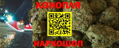 крисы Кандалакша